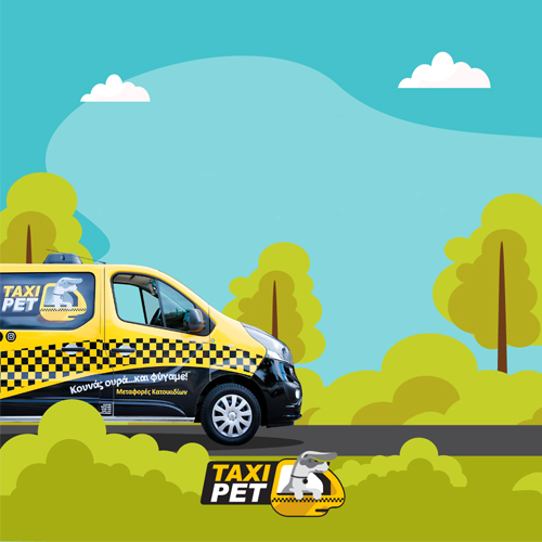 portfolio taxipet